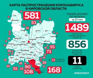 Количество заболевших коронавирусом в Котельниче и районе не изменилось