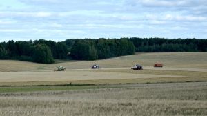 В Котельничском районе завершается уборка зерновых