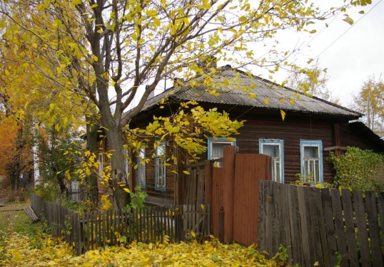 В Котельниче начался активный листопад грецкого ореха