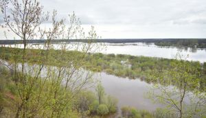 Уровень воды в Вятке около Котельнича начал падать