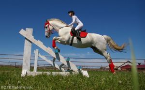 В Котельничском районе прошли соревнования по конному спорту. ФОТО и ВИДЕО