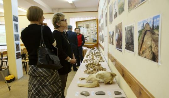 В Кирове открылась выставка, посвященная Скорняковскому городищу