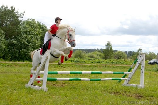 В Котельничском районе прошли соревнования по конному спорту. ВИДЕО