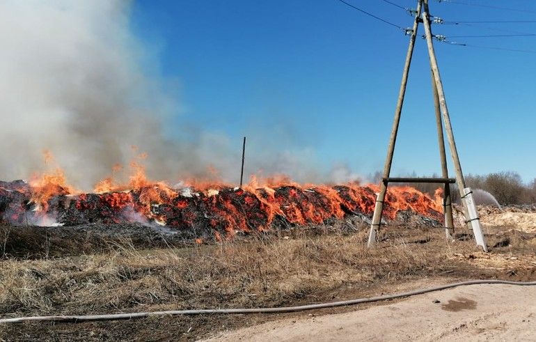 Пожар на свалке отходов лесопиления под Котельничем потушен