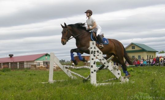 В Котельничском районе прошли соревнования по конному спорту. ВИДЕО