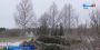 В Котельничском районе стали пропадать крупномерные деревья(ГТРК Вятка)