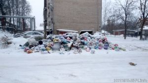 ОНФ: Контракты по вывозу мусора на 2021 год до сих пор не заключены в 30 районах области