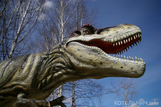Букет для динозаврика