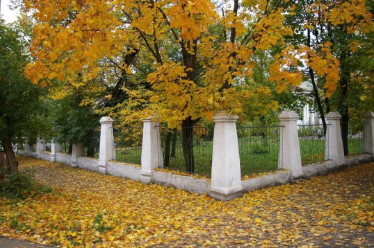Золотая осень в Котельниче